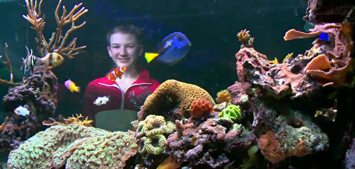 Bert's Pet Center Fish Dogs/Puppies & Grooming Reptiles Supplies