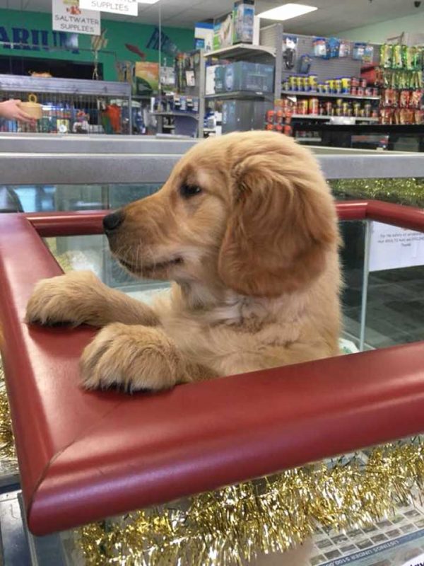 Gallery Bert's Pet Center