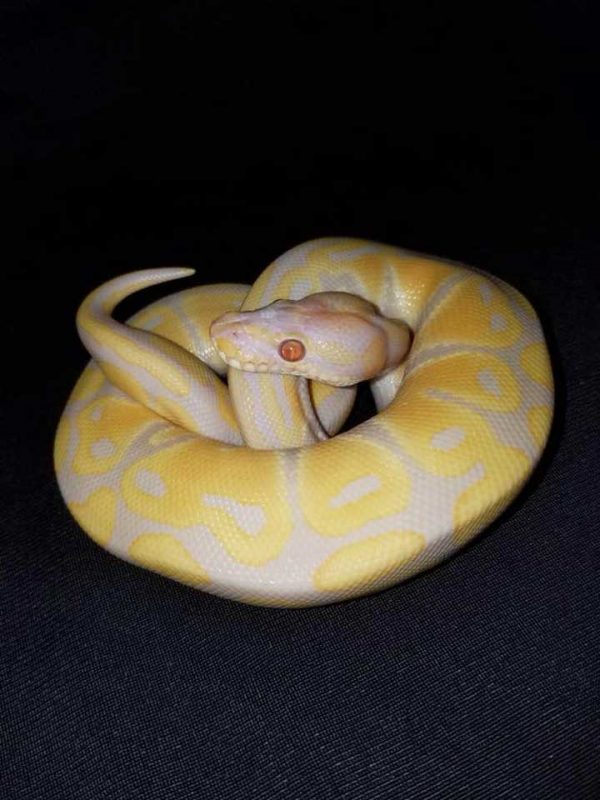 Gallery Bert's Pet Center