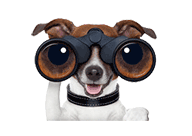 Bert’s Pet Center – Puppies